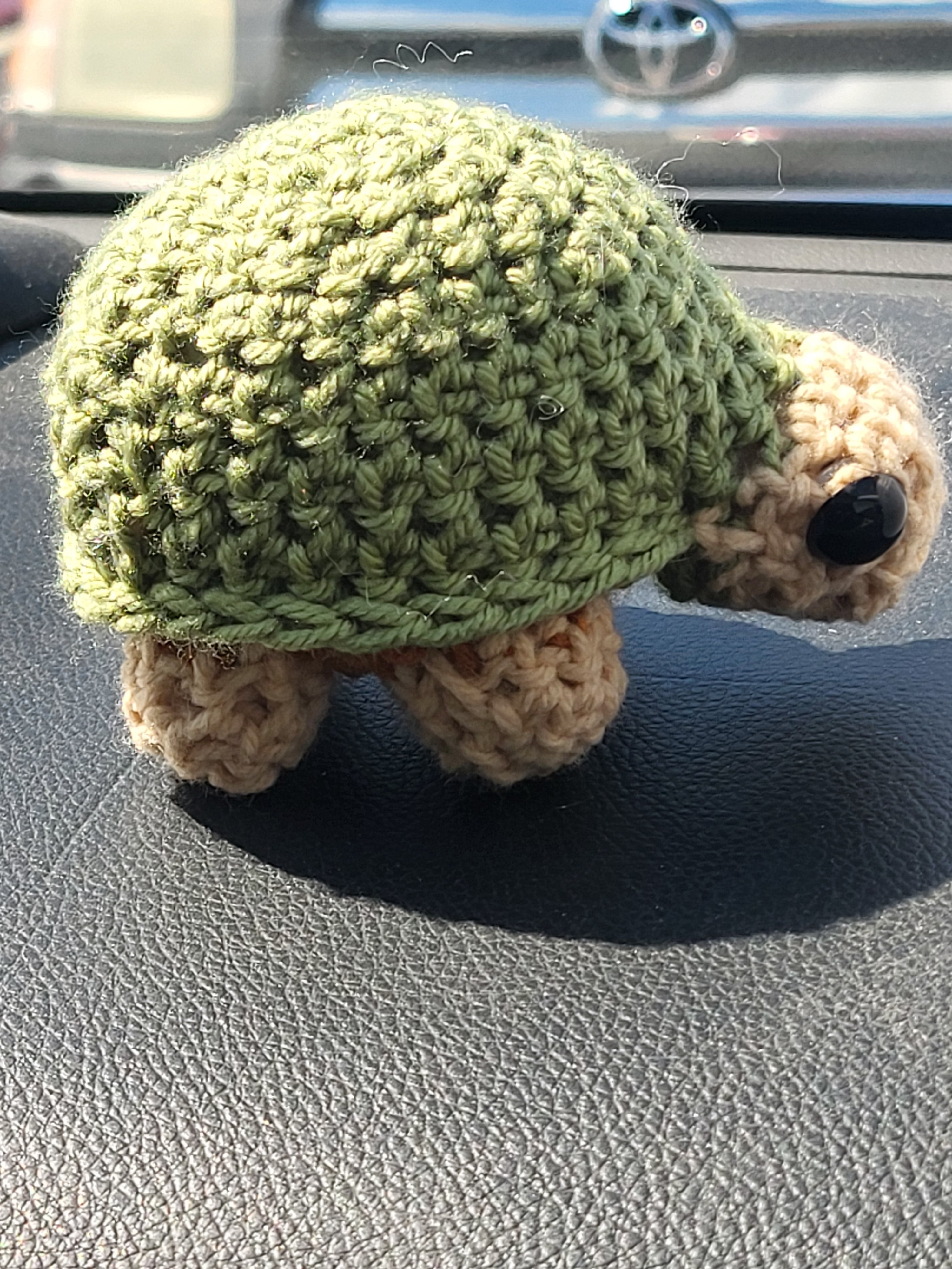 Timothy turtle