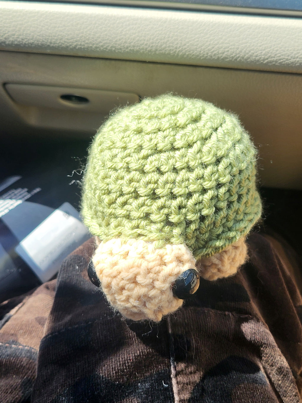 Timothy turtle