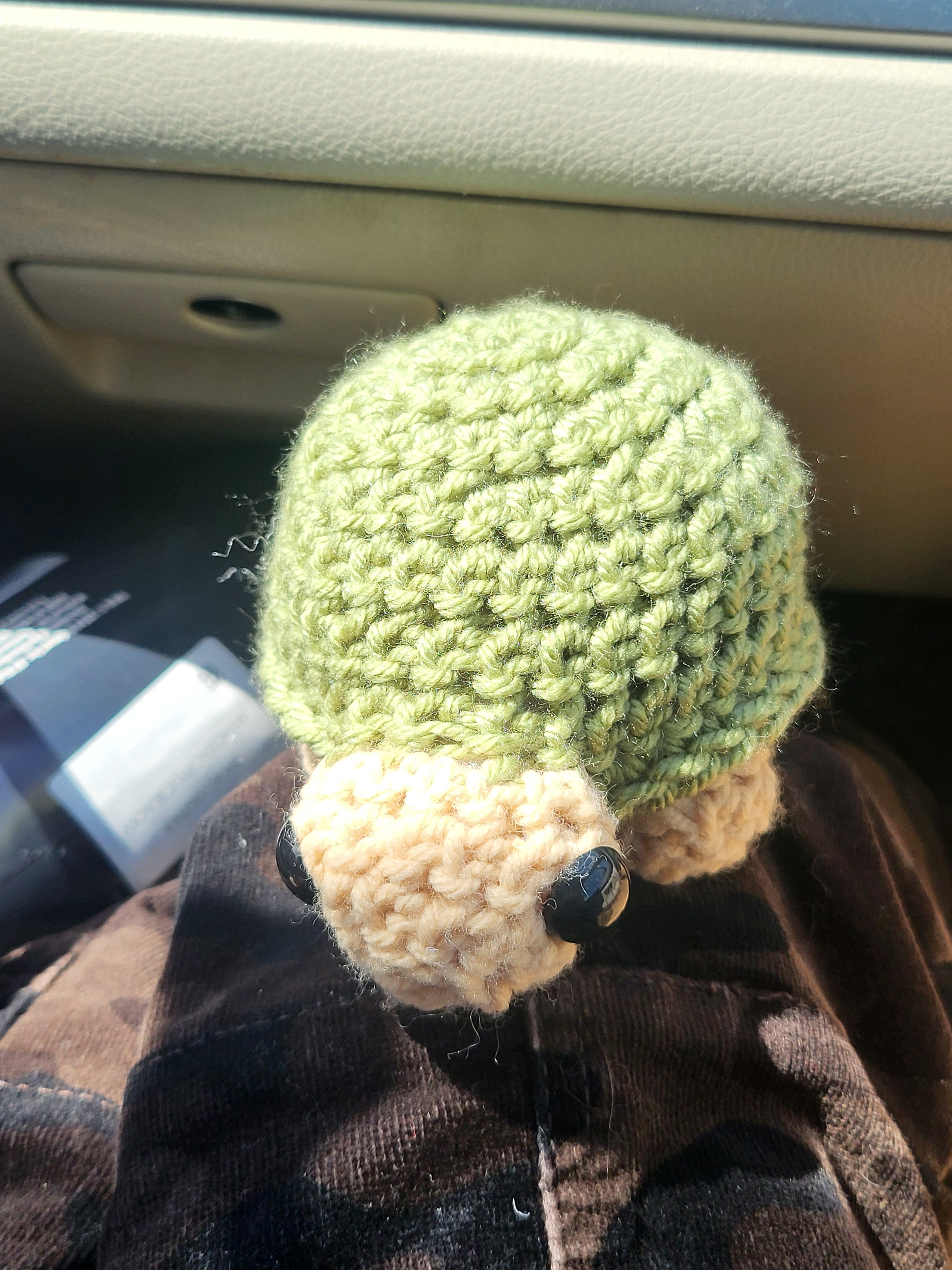 Timothy turtle