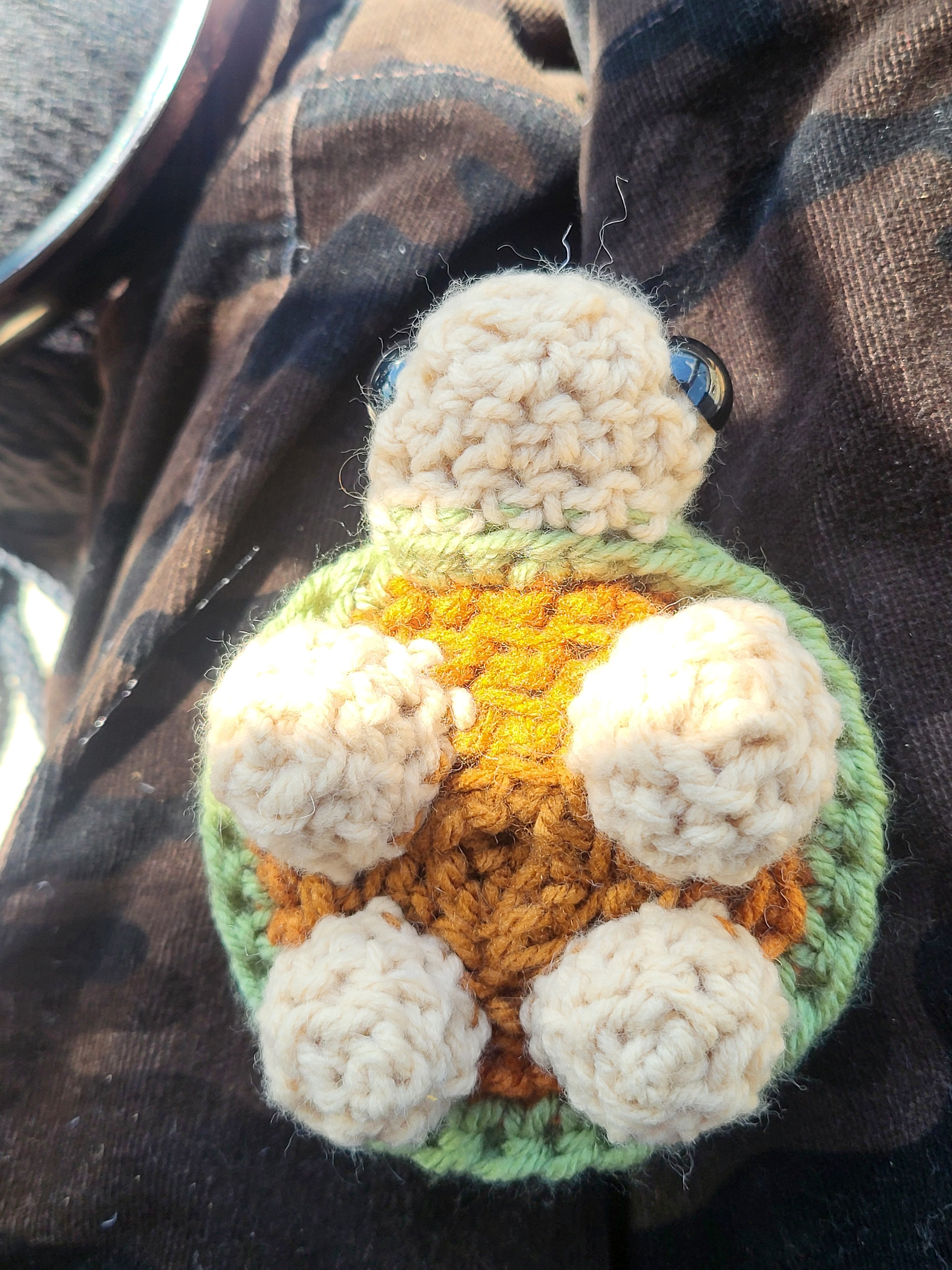 Timothy turtle