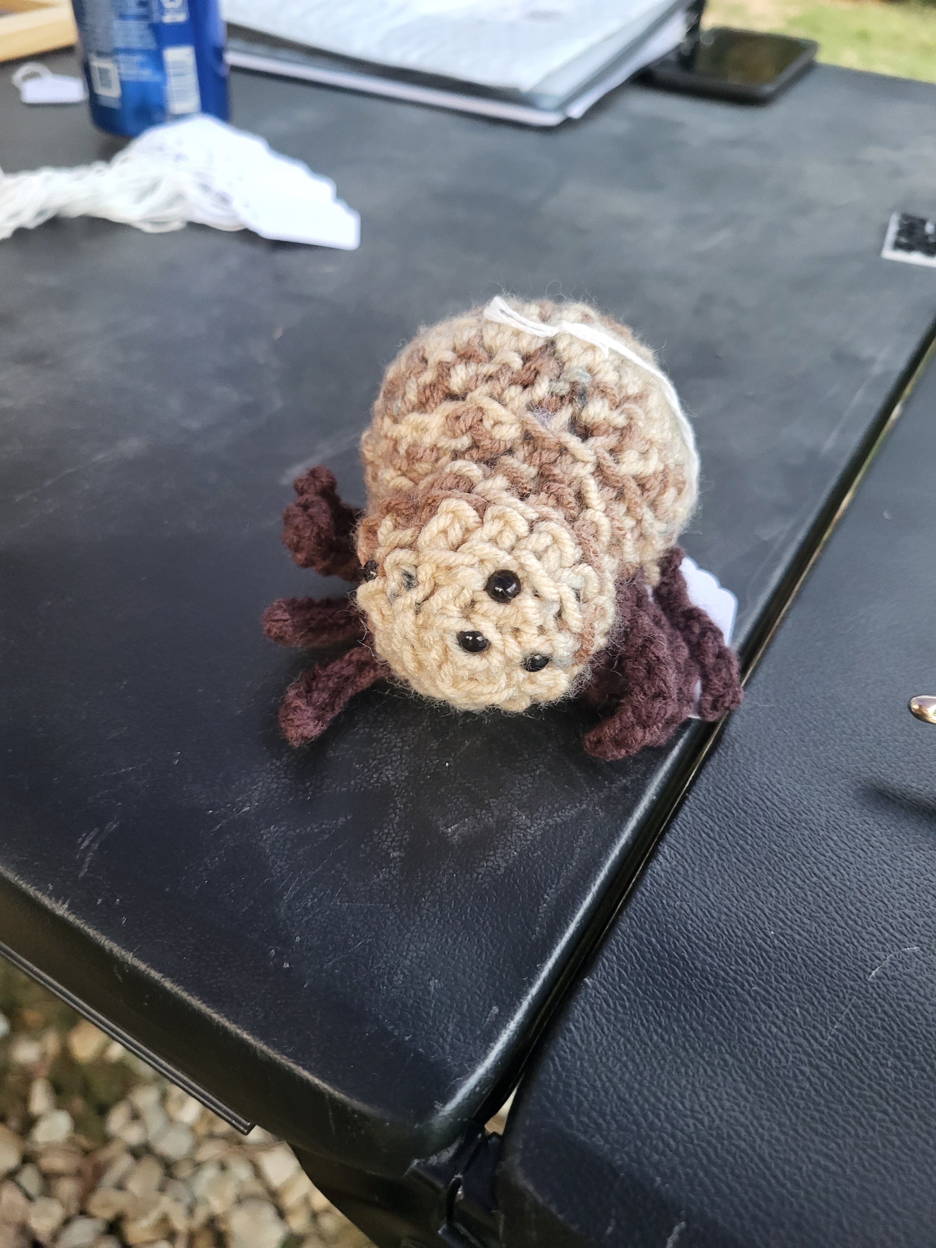 Spider
